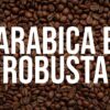 l’arabica è migliore della robusta?